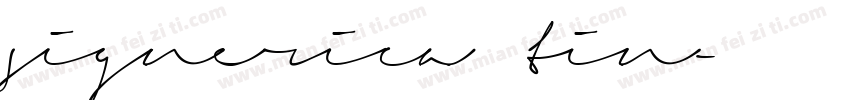 signerica tin字体转换
